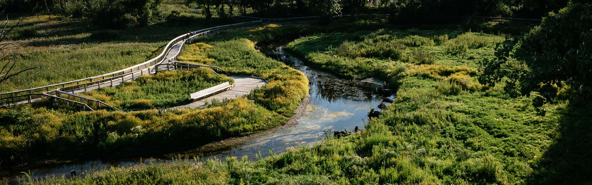 Minnehaha Preserve, boardwalk and creek aerial photo