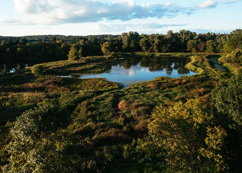 Wastewater treatment pond