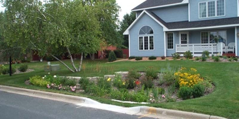 rain garden