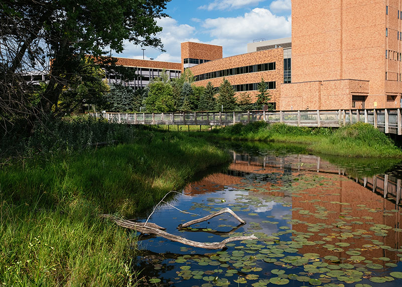 Minnehaha Creek near Methodist Hospital